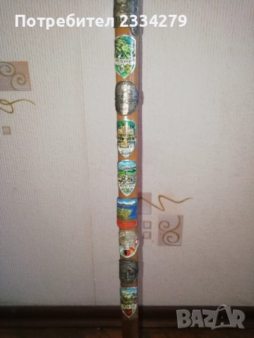 Стари бастуни от различни времена и държави. Подходящи за ползване и декорация. , снимка 6 - Антикварни и старинни предмети - 52790720