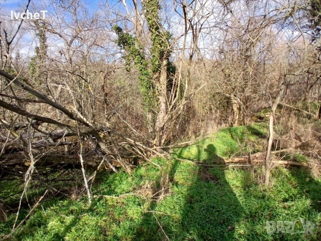 Имот за екотуризъм в Отец Паисиево, снимка 7 - Къщи - 53399766