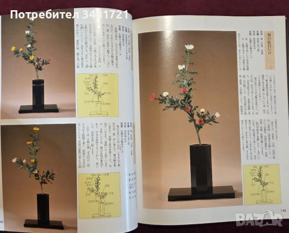 Икебана справочник - история, стилове и традиции / Ikebana, снимка 13 - Енциклопедии, справочници - 53748376