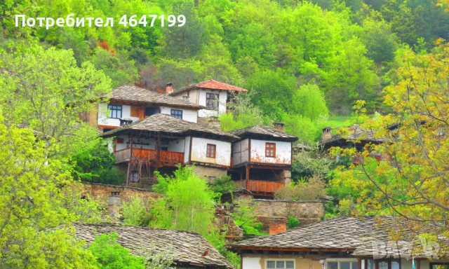 Екскурзия до Лещен-Ковачевица-Добърско-Батак-Хаджидимовски манастир-Перущица-Червената църква, снимка 5 - Автобусни екскурзии - 53813878