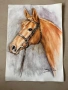 Картини с изображения коне, снимка 2