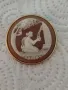 вносна брошка нова камео, снимка 1