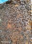 Продавам Пчелни отводки , снимка 1 - Стоки за пчели - 40460810