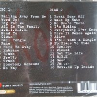 Korn - Falling Away From Me - The Best Of Korn [2011] 2 CD, снимка 2 - CD дискове - 41857947