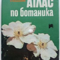 Атлас по Ботаника - Сл.Петров,Е.Паламарев - 1994г.  , снимка 1 - Енциклопедии, справочници - 42277632