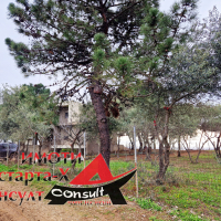 Астарта-Х Консулт продава парцел в Ароги Фанари Комотини Гърция , снимка 2 - Парцели - 44739328
