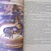 Книга "Морската змия - Жул Верн" - 128 стр., снимка 4 - Детски книжки - 41552955