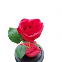Изкуствена роза под стъклен похлупак, Дървена основа,Червена, 17x11 см, снимка 3 - Подаръци за жени - 35761290