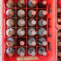 Кока Кола колекционерски бутилки,нови,4 вида,10лв.за 1 бр., снимка 12 - Други стоки за дома - 38615166