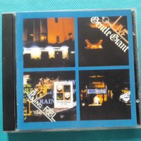 Gentle Giant –4CD(Prog Rock), снимка 10 - CD дискове - 40650828