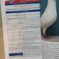 Български гълъби и кокошки, снимка 7 - Специализирана литература - 42222231