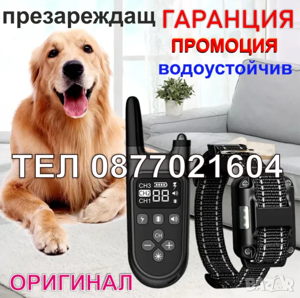 Електронна каишка за кучета, снимка 1