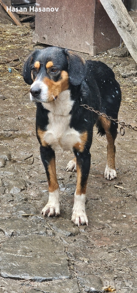 женска на 1г , снимка 1