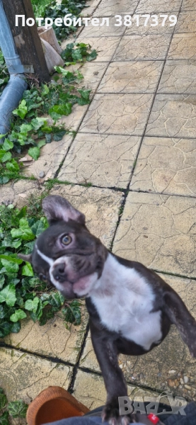 Продавам, снимка 1