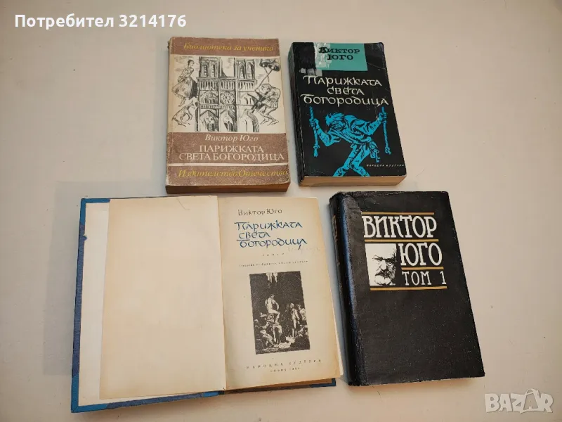 Парижката Света Богородица - Виктор Юго, снимка 1