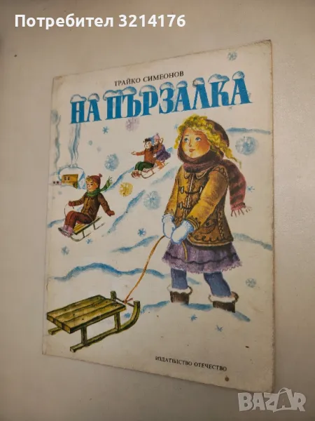 На пързалка - Трайко Симеонов , снимка 1