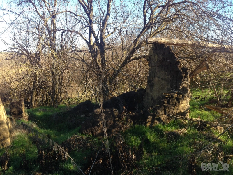 Парцел 1800 кв.м. и къща за основен ремонт в село Красен област Добрич собственик , снимка 1
