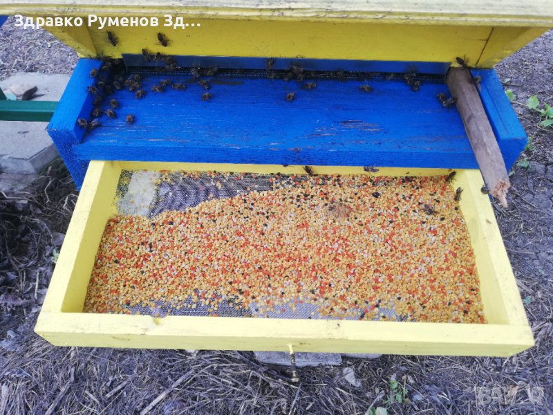 Пчелен прашец - 2025 година, снимка 1