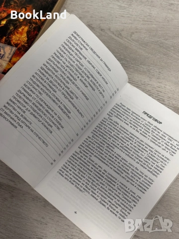 Принос към историята на с. Грамада (Кулска околия), снимка 9 - Художествена литература - 53390966
