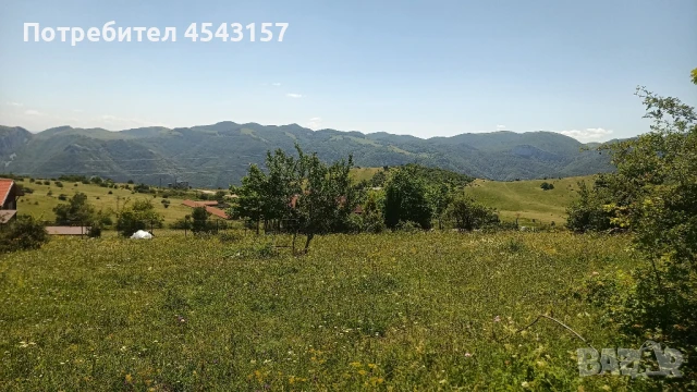 Парцел във Врачански Балкан , снимка 5 - Парцели - 51133586