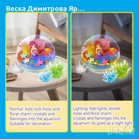 Пълен комплект за терариум - Направи си сам, снимка 3 - Други - 48788736