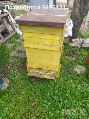 Пчелни кошери, снимка 3 - За пчели - 53656137