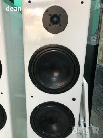 Големи дизайнерски тонколони, снимка 9 - Тонколони - 53063680