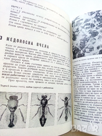 Зоология за 7.клас - Г.Паспалиев,А.Захариева,П.Козлева - 1968г., снимка 6 - Учебници, учебни тетрадки - 52403268