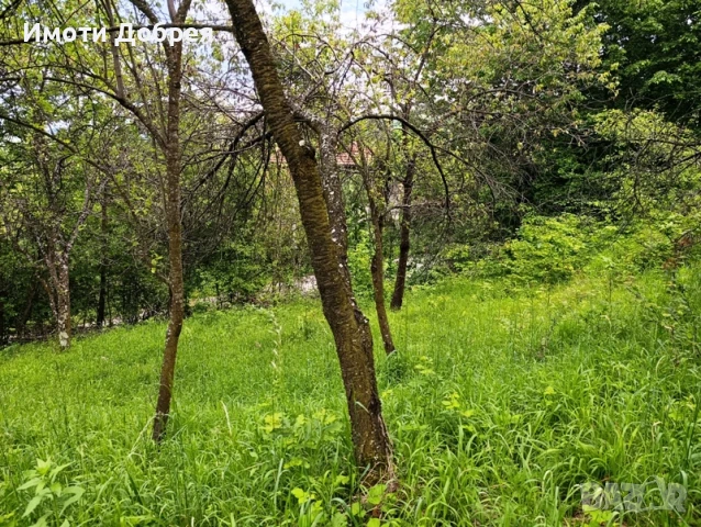 Имот в гр. Троян - спокоен квартал, снимка 3 - Парцели - 50514113