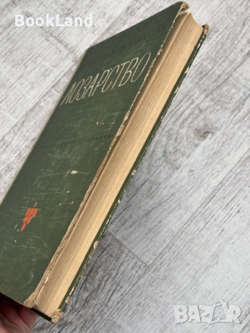 Лозарство| проф. Н. Неделчев и проф. М. Кондарев, снимка 3 - Други - 53568645