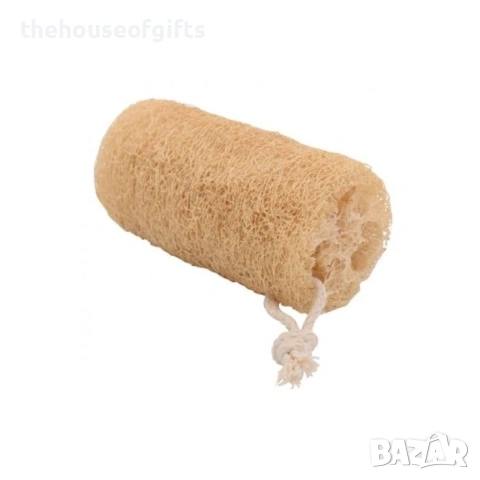 Семена на гъба Луфа, снимка 5 - Сортови семена и луковици - 53782707