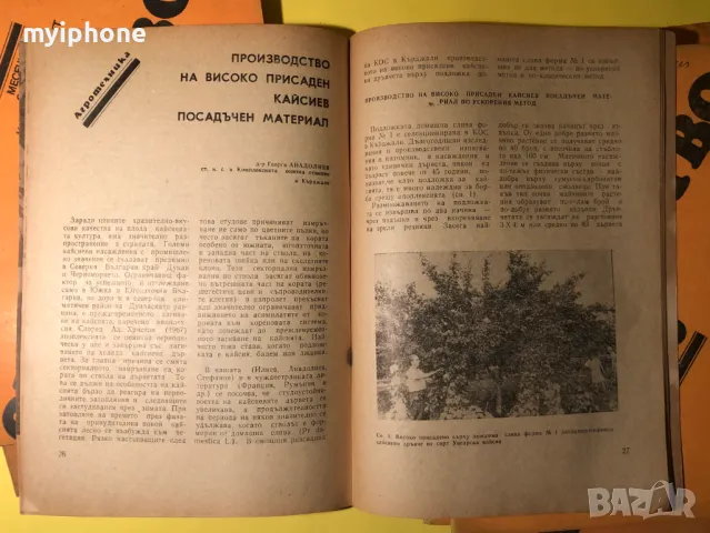 Стара Книга Лот от 7 поредни книжки Овощарство 1980 г., снимка 12 - Списания и комикси - 49203884