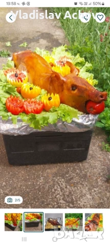 Печено прасенце, аганце,джолани при Майстор Владо!, снимка 3 - Кетъринг - 48748482