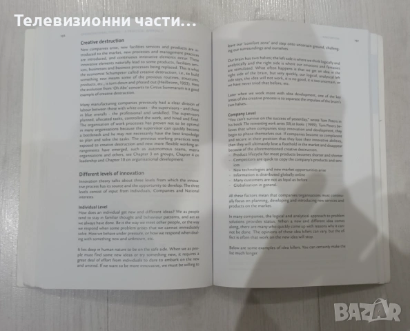 Organisational Theory - A practical Approach - Lars Krogh Jensen & Henriette Bjerreskov Dinitzen, снимка 4 - Учебници, учебни тетрадки - 53212376