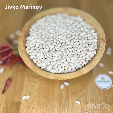 Бял Боб сорт Елексир