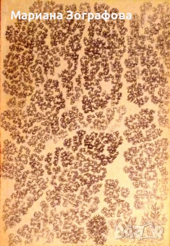 Картина-офорт, худ. Т. Манолов 1988 г., - Графики - худ. М. Зографова, - и Голяма дървена рамка, снимка 13 - Антикварни и старинни предмети - 49137840