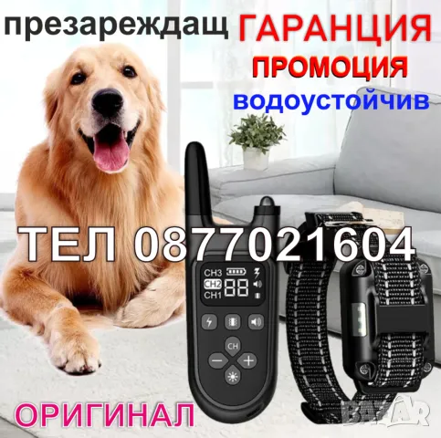 Електронна каишка за кучета