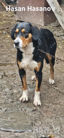 женска на 1г 