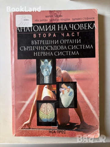 Анатомия на човека | Втора част | Вътрешни органи, сърдечносъдова система, нервна система | Мария Ги