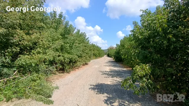 Мулчер шредера услуги , снимка 4 - Селскостопанска техника - 56046994