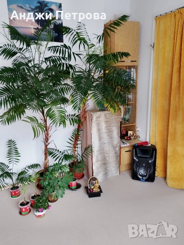 Двустаен в топ центъра на София, снимка 7 - Апартаменти - 53641894