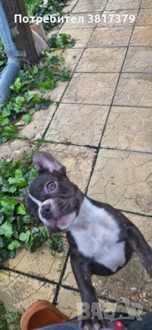 Продавам, снимка 1