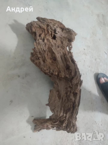 Огромни Мангров корен 50+см. 60 - 85лв. , снимка 12 - Оборудване за аквариуми - 51042014