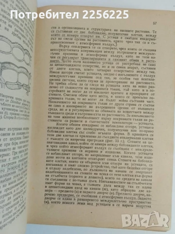 Земеделска ботаника 1947г, снимка 5 - Специализирана литература - 51165729