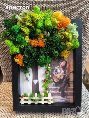 Картини и декорации със Скандинавски мъх, снимка 15 - Декорация за дома - 42057514