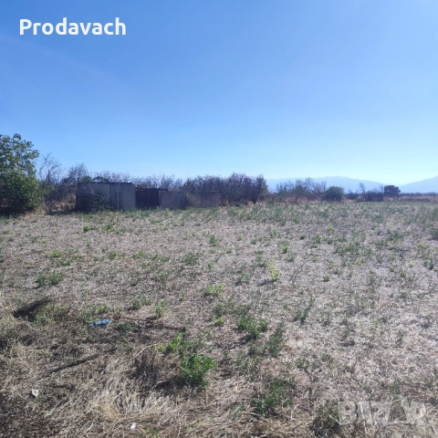 Топ парцел в село Сбор , снимка 4 - Парцели - 52516867