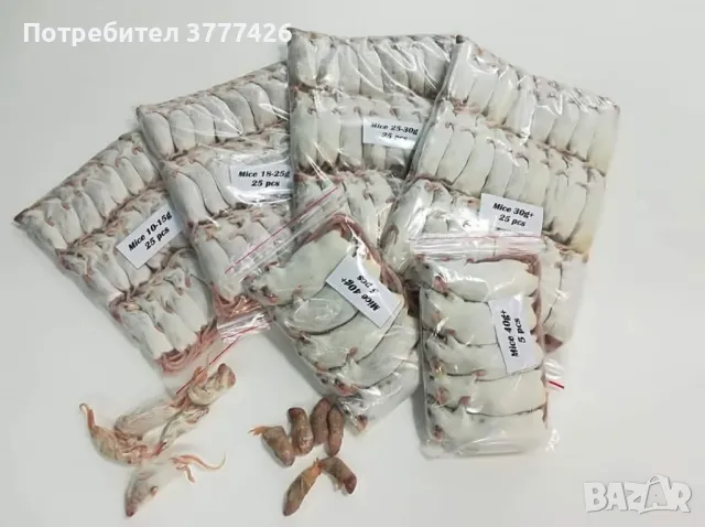 Замразени Гризачи - Мишки и Плъхове