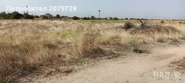 От собственик! Парцел в с. Голям Чардак 4355кв.м., снимка 11 - Парцели - 55504212