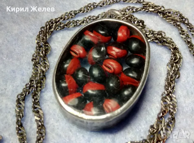 СТАР СРЕБЪРЕН МЕДАЛЬОН Със ЗЪРНА на Ormosia coccinea / wayruru За КЪСМЕТ с ВЕРИЖКА СРЕБРО 925 29143, снимка 6 - Антикварни и старинни предмети - 49866130