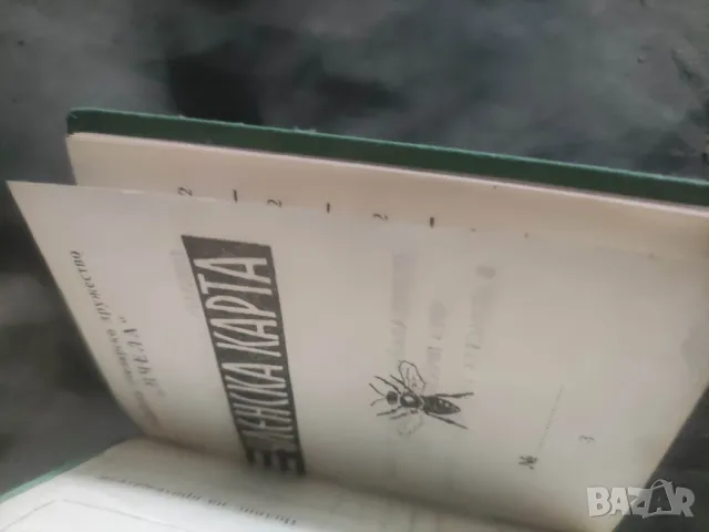 Членска карта дружество " Пчела", снимка 2 - Други - 49890640